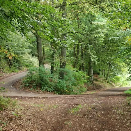 Haus Schneider Kaetchen 別荘