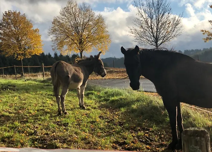 Dom wakacyjny Haus Schneider Kaetchen *
