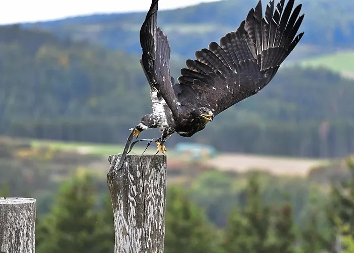Haus Schneider Kaetchen Dom wakacyjny *