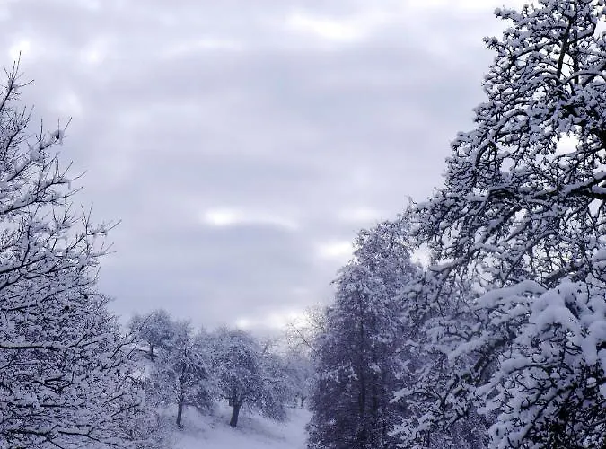 Haus Schneider Kaetchen Vakantiehuis Deudesfeld