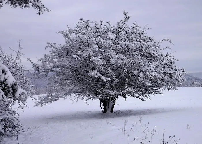 Haus Schneider Kaetchen Dom wakacyjny Deudesfeld