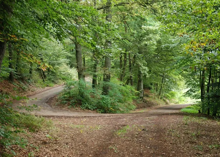Haus Schneider Kaetchen Dom wakacyjny